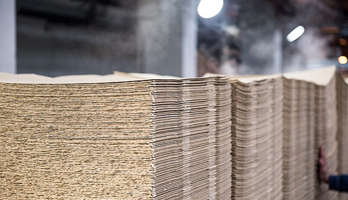 Projet de pâte Shandong Rizhao